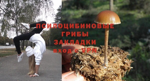 каннабис Баксан
