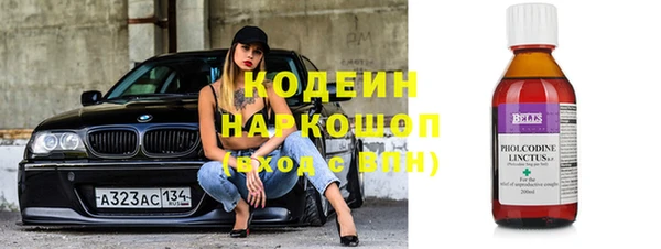 сатива Белокуриха