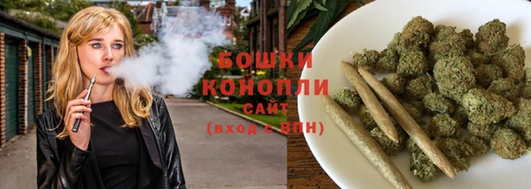 сатива Белокуриха