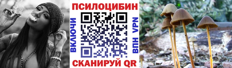 Галлюциногенные грибы мицелий  Гаврилов-Ям 