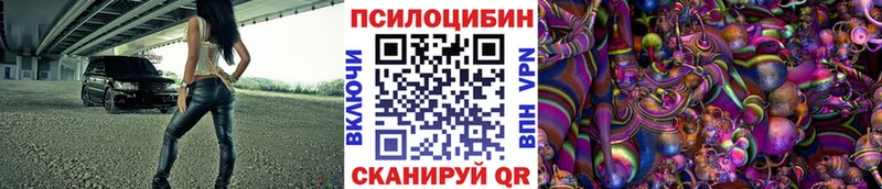 Псилоцибиновые грибы Psilocybine cubensis Гаврилов-Ям
